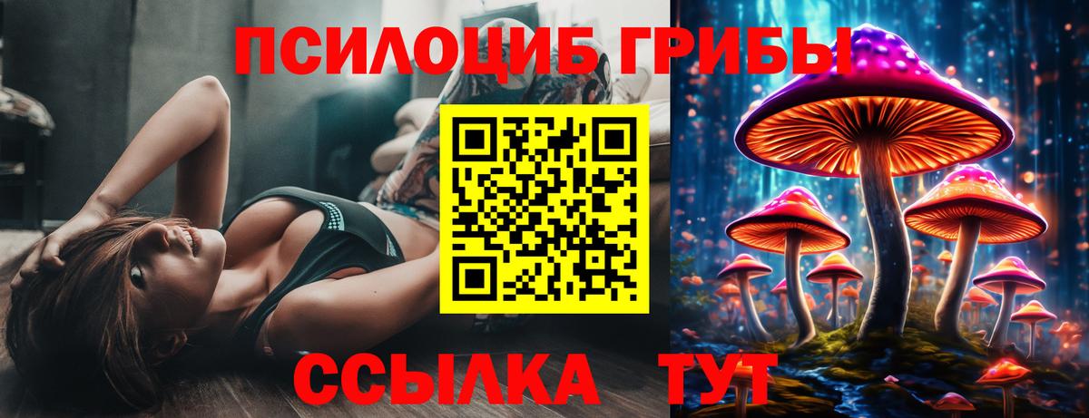 Галлюциногенные грибы мухоморы Трёхгорный