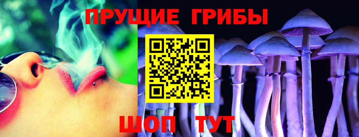 Псилоцибиновые грибы MAGIC MUSHROOMS  Вход с VPN  Трёхгорный 
